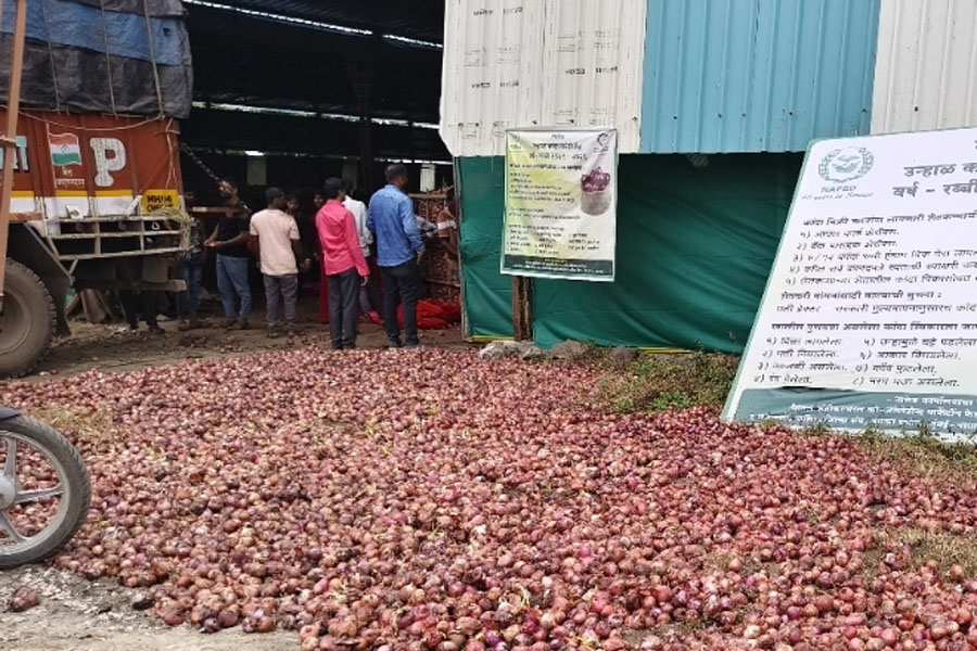 नाफेड–एनसीसीएफ मार्फत खरेदी केलेला कांदा होतोय खराब…