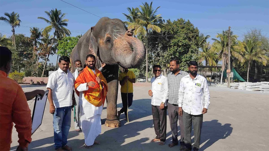 ‘माधुरी’ हत्तिणीची ३१ ऑक्टोबरला आरोग्य पडताळणी
